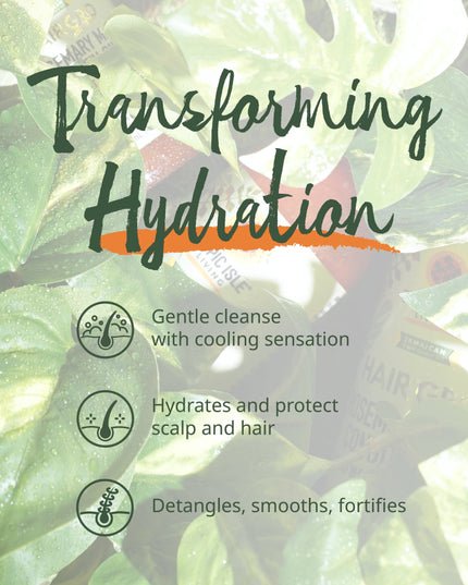 Hair Gro Rosemary Mint Shampoo