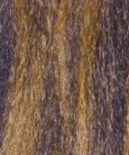 1B/27